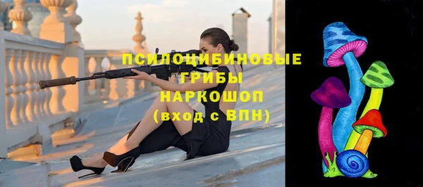 прущие грибы Слюдянка