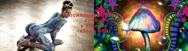 соль ск Балабаново