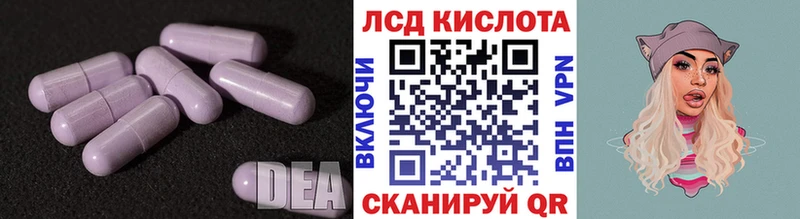 Лсд 25 экстази кислота Нефтекумск